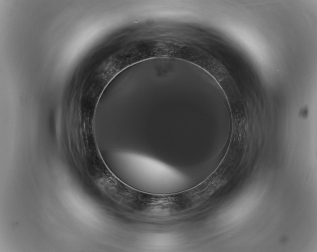 X0000091080382200708061342