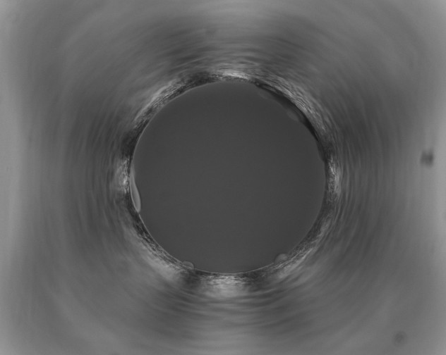 X0000091080383200708061342