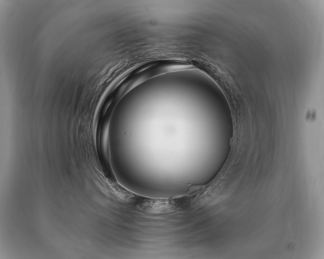 X0000091080384200708061342