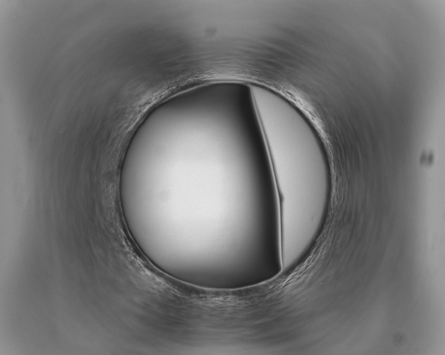 X0000091080385200708061341