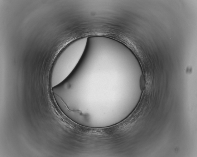 X0000091080386200708061341