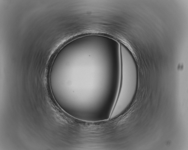 X0000091080387200708061341