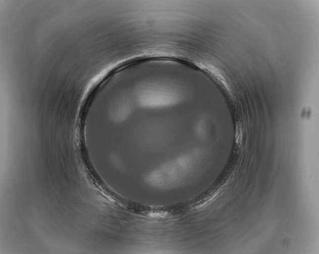 X0000091080388200708061341