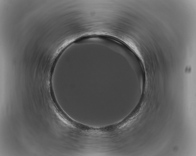 X0000091080389200708061341