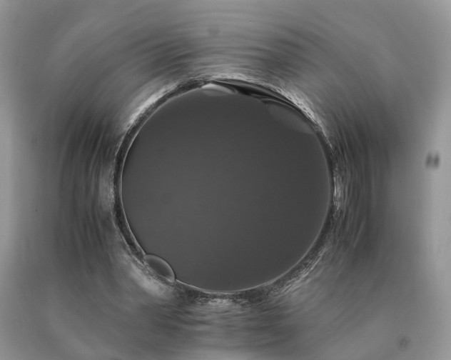 X0000091080390200708061341