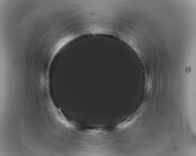 X0000091080391200708061341