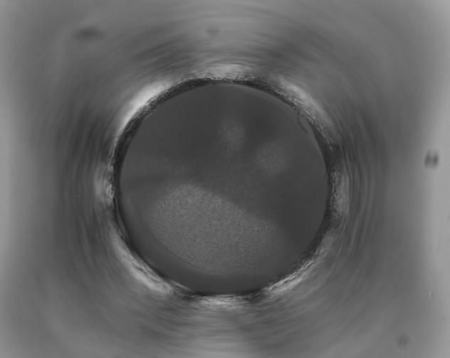 X0000091080392200708061341