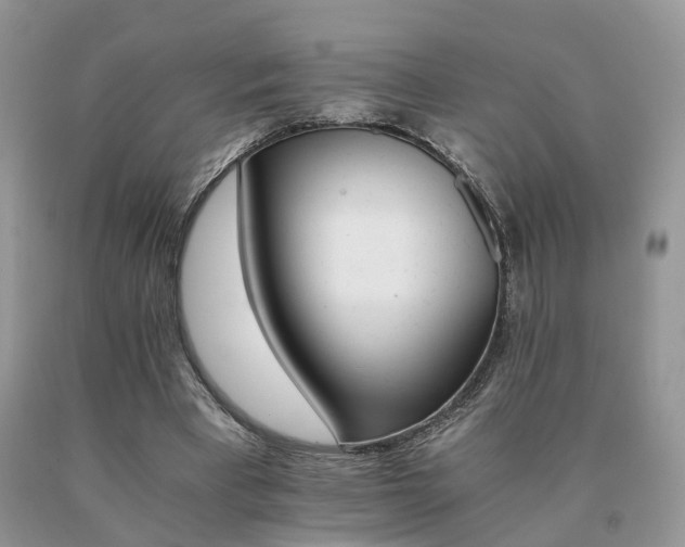 X0000091080393200708061341