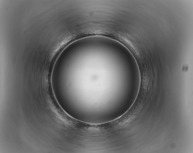 X0000091080394200708061341