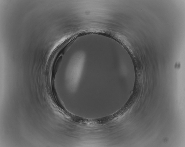 X0000091080395200708061341