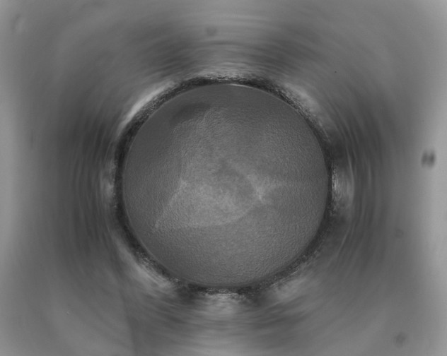 X0000091080396200708061341