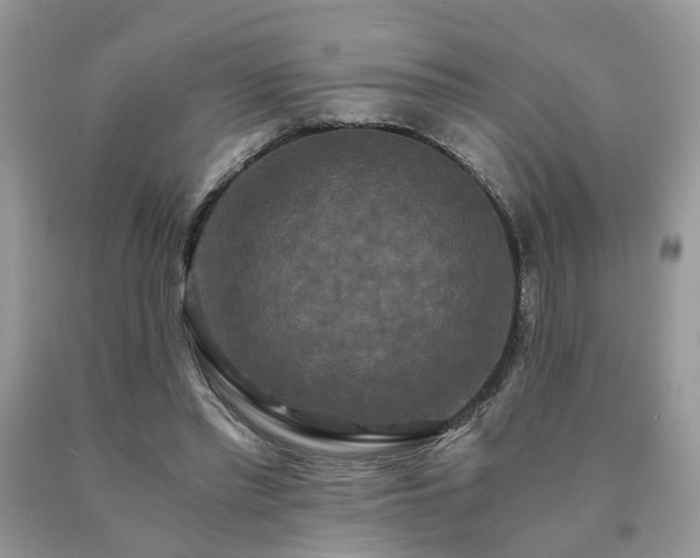 X0000091080397200708061341