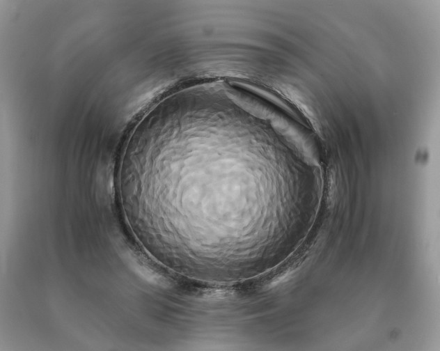 X0000091080398200708061341