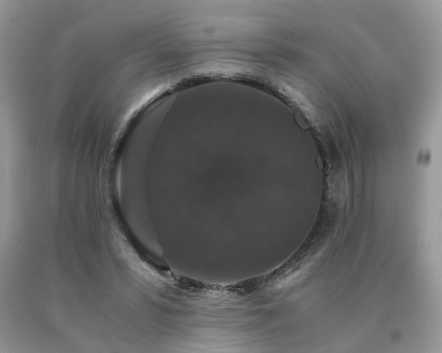 X0000091080399200708061341