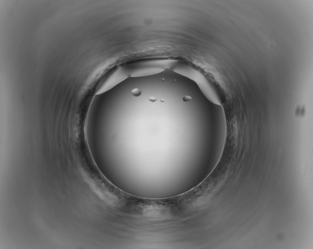 X0000091080400200708061341