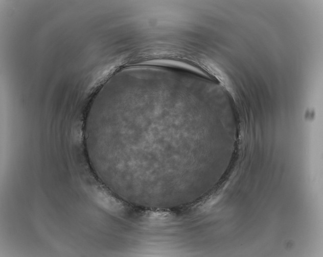 X0000091080401200708061341