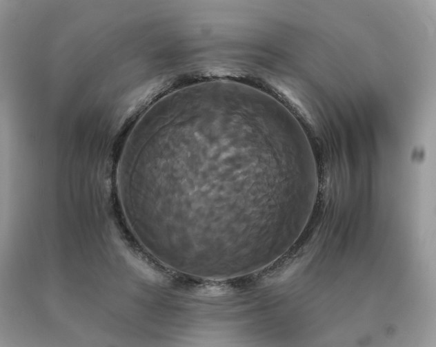 X0000091080402200708061341