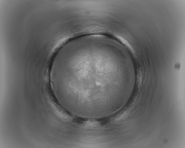 X0000091080403200708061341