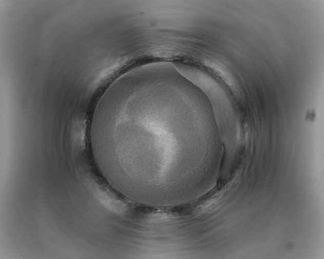 X0000091080404200708061341