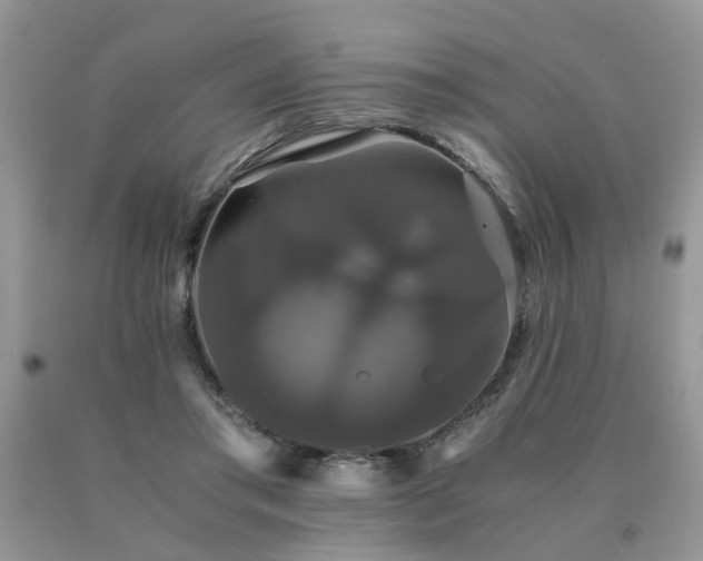 X0000091080405200708061341