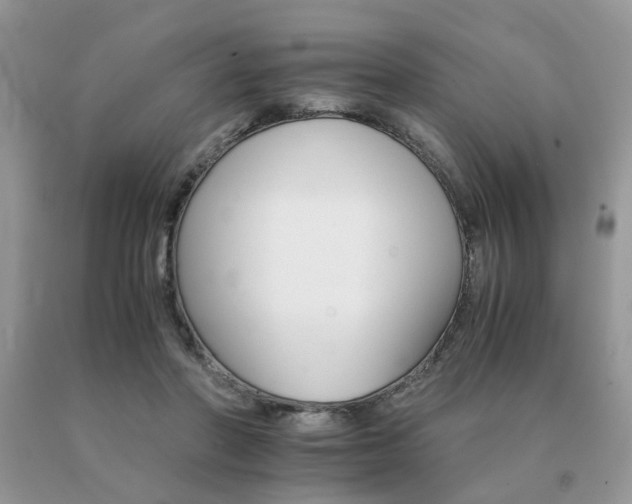 X0000091080406200708061341