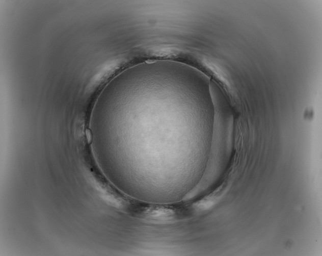 X0000091080407200708061341