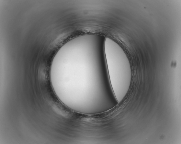 X0000091080408200708061341