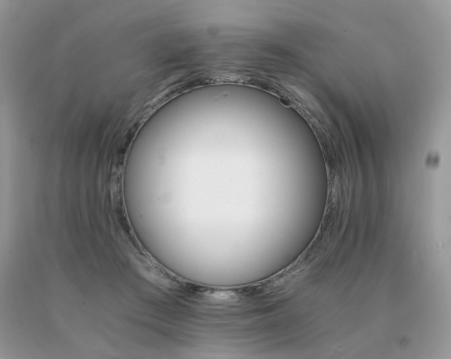 X0000091080409200708061341