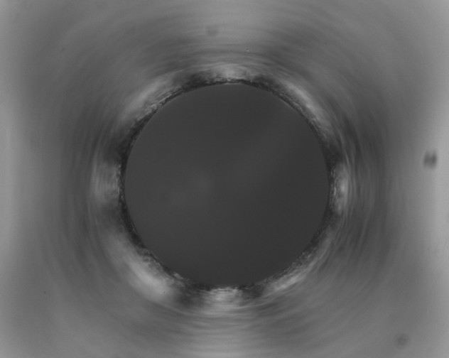 X0000091080410200708061341