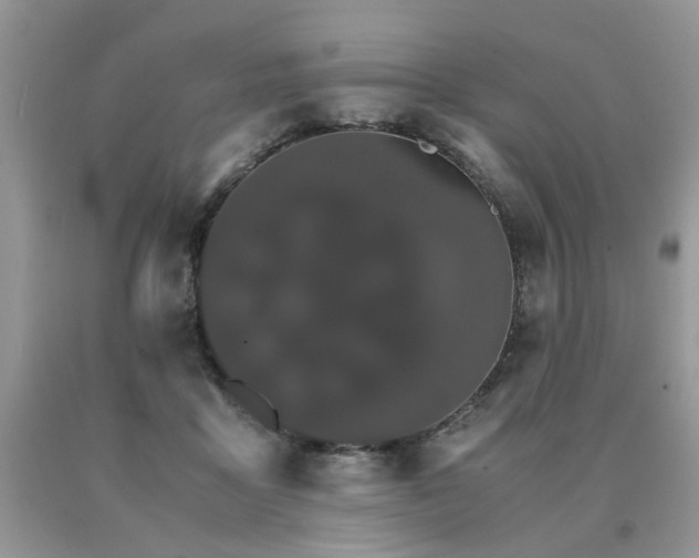 X0000091080411200708061341