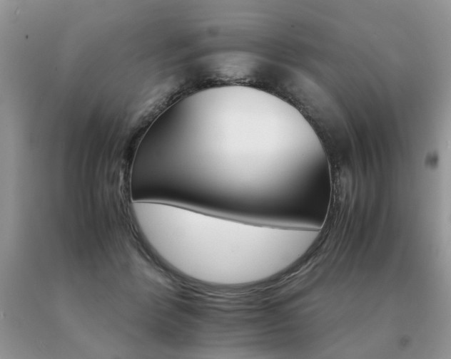 X0000091080412200708061341