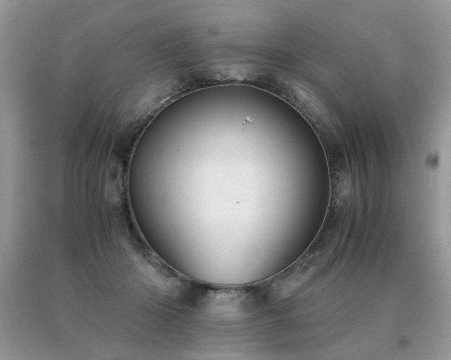 X0000091080414200708061341