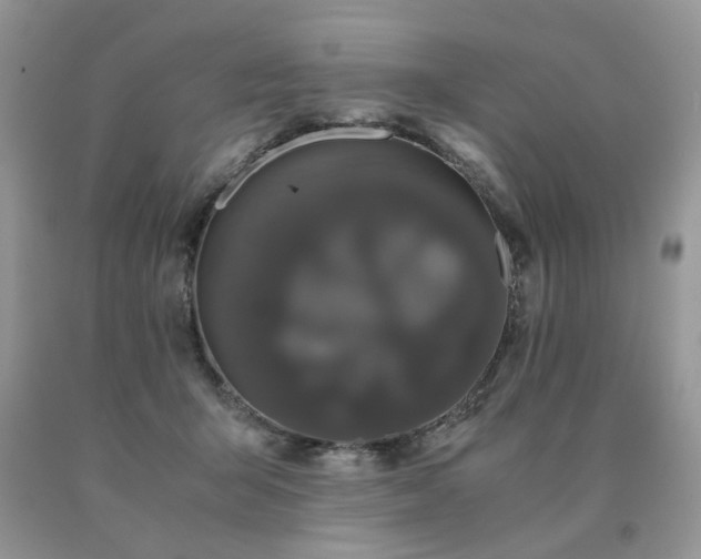 X0000091080415200708061341