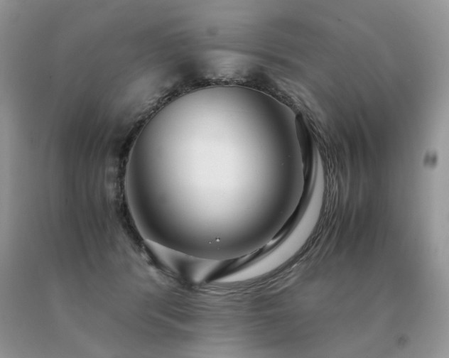 X0000091080416200708061341