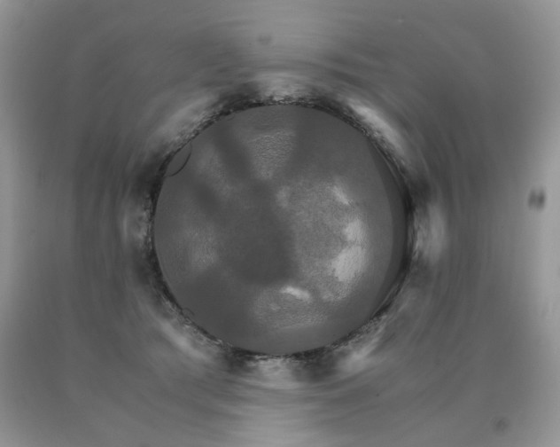 X0000091080417200708061341