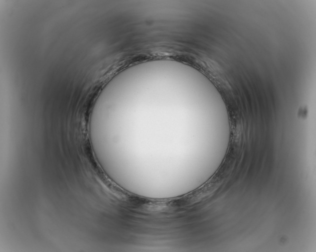 X0000091080418200708061341