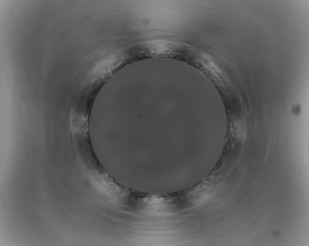 X0000091080419200708061341