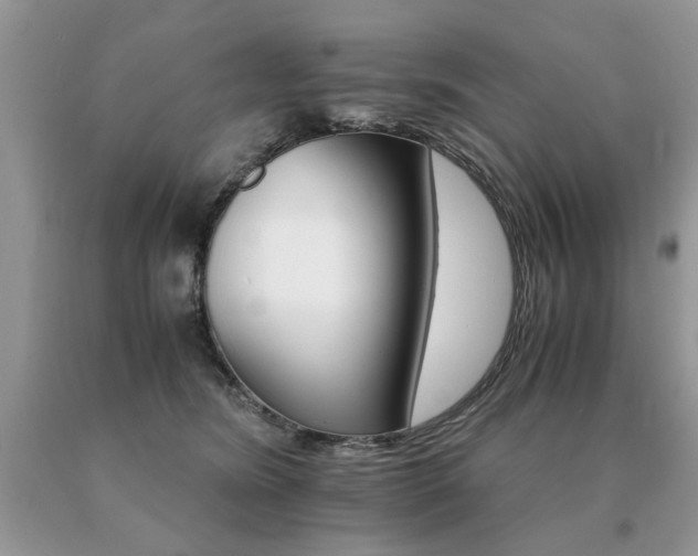 X0000091080420200708061341