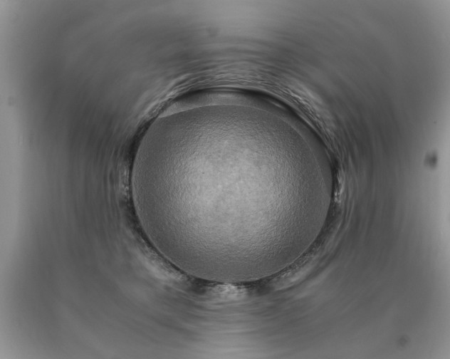 X0000091080421200708061341