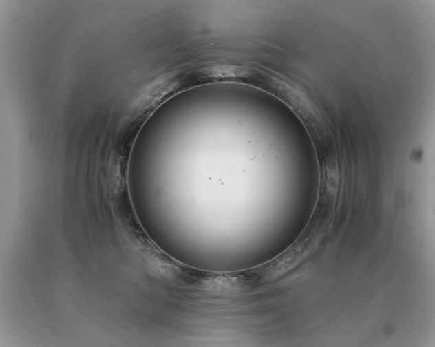 X0000091080422200708061341