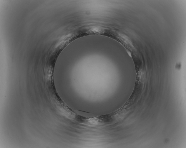 X0000091080423200708061341