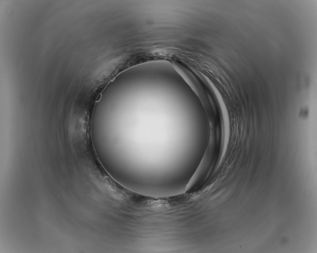 X0000091080424200708061341