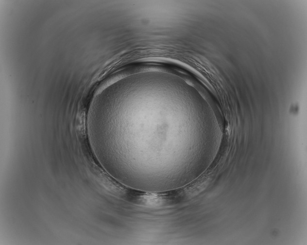 X0000091080425200708061341