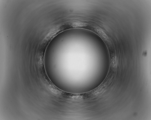 X0000091080426200708061341