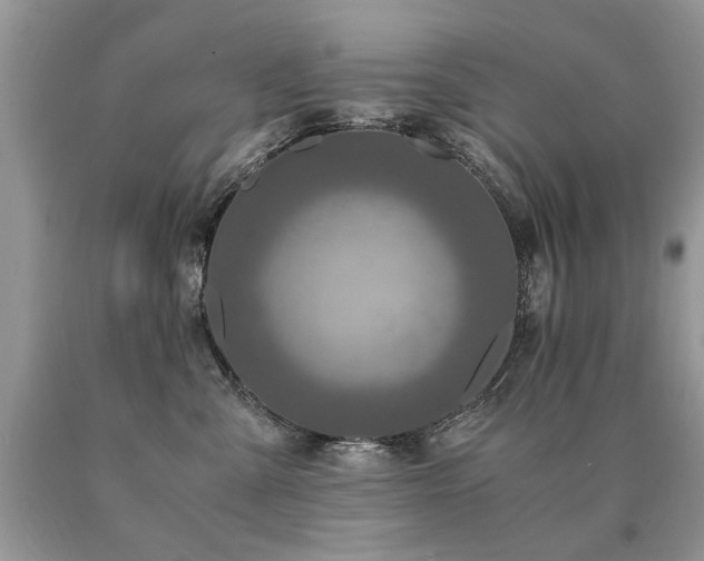 X0000091080427200708061341