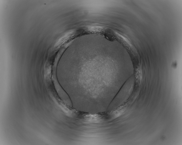 X0000091080428200708061341