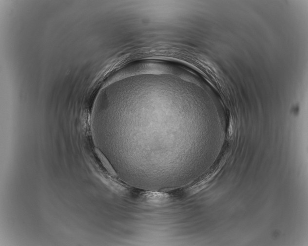 X0000091080429200708061341