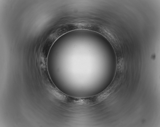 X0000091080430200708061341