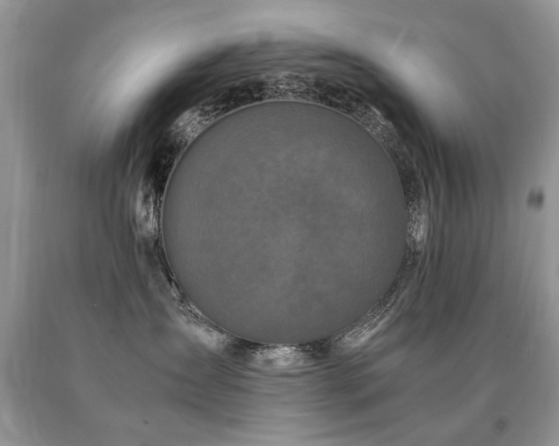 X0000091080431200708061341