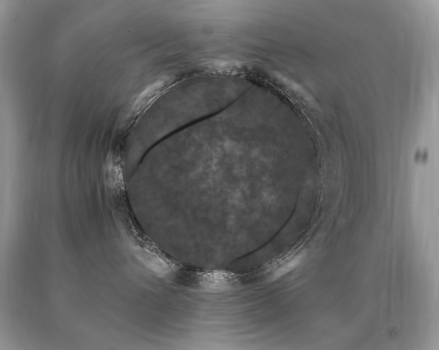 X0000091080432200708061340